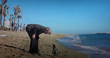    (2024)
