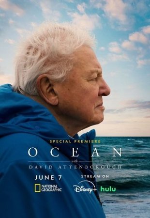 Дэвид Аттенборо: Океан (2025)