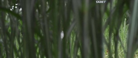 Она. Глава первая (2023) Она. Глава первая (2023)