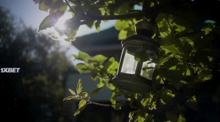 Хитрец Оскар и супергерл Фанни (2022) Хитрец Оскар и супергерл Фанни (2022)