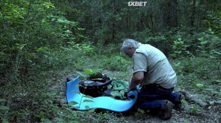 Монстр Уошитских гор (2023) Монстр Уошитских гор (2023)