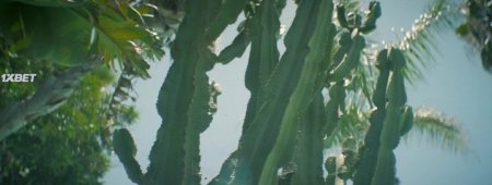 Прости, Чарли (2023) Прости, Чарли (2023)